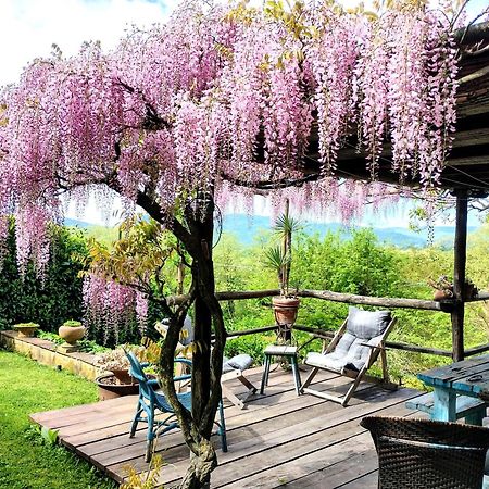 Tuscan Hills - Stonehouse, Garden & Pool Vicchio Exterior foto