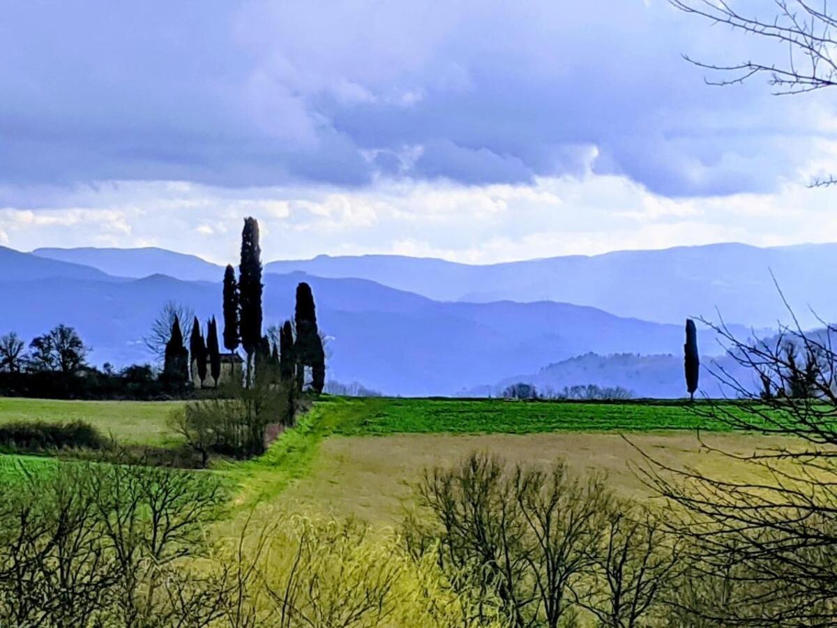 Tuscan Hills - Stonehouse, Garden & Pool Vicchio Exterior foto